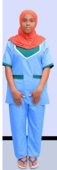 slide-2, House Maid , Ethiopia , Babysitter , House keeping , Disabled care