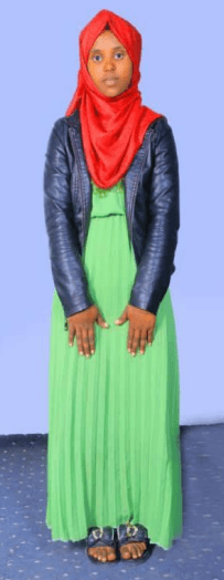 slide-2, House Maid , Ethiopia , Babysitter , House keeping , ironing