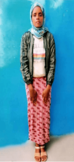 slide-2, House Maid , Ethiopia , House keeping , Babysitter , ironing