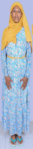 slide-2, House Maid , Ethiopia , Babysitter , House keeping , ironing