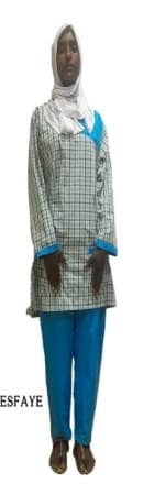 slide-2, House Maid , Ethiopia , House keeping , Babysitter , ironing