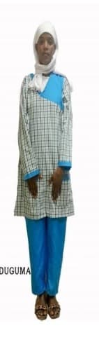 slide-2, House Maid , Ethiopia , House keeping , Babysitter , ironing