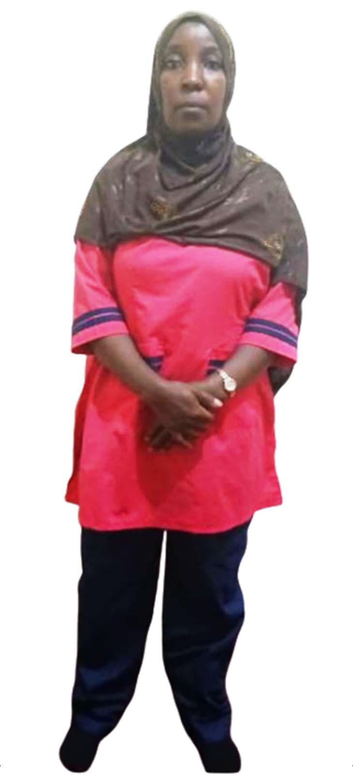 slide-2, House Maid , Kenya , House keeping , Babysitter , ironing
