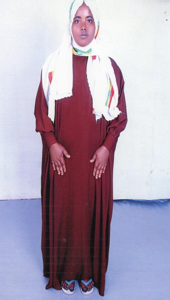 slide-2, House Maid , Ethiopia , House keeping , Babysitter , ironing